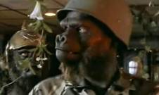 Подружка обезьян / Play-Mate of the Apes (2002)