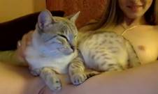 Котафей Барсик кайфово проводит время около пизды своей хозяйки, загоняя потоки воздуха из ноздрей во время мурлыканья в натёртую вагиниту
